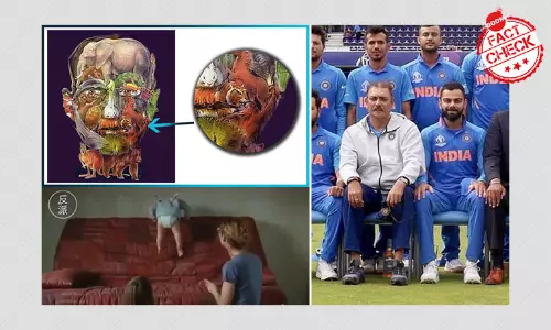 10 Most Absurd Claims Fact Checked In 2019