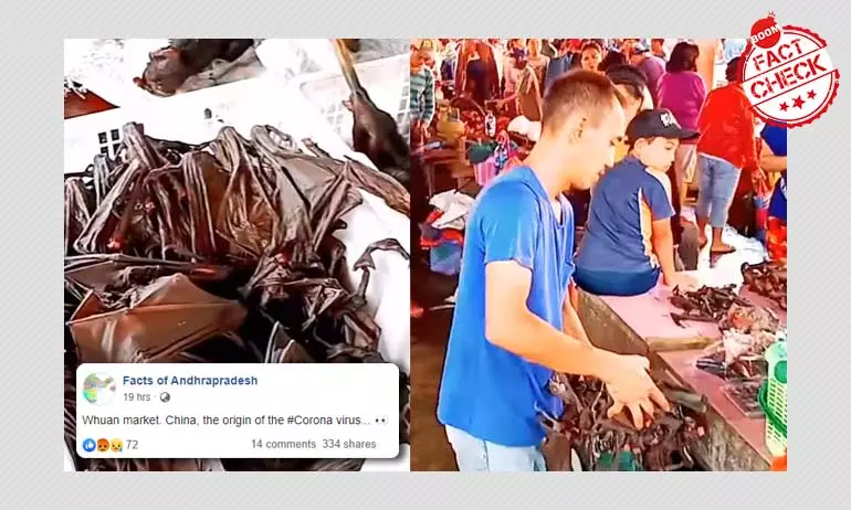 Coronavirus: Indonesian Market Video Viral As Wuhan, China