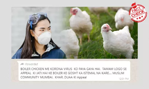 False: Coronavirus Found In Broiler Chickens