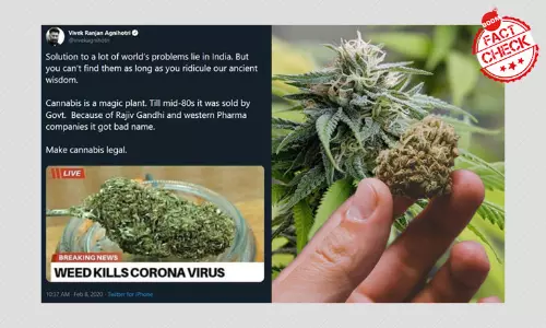 Marijuana Kills Coronavirus? Meme Viral With False Claims