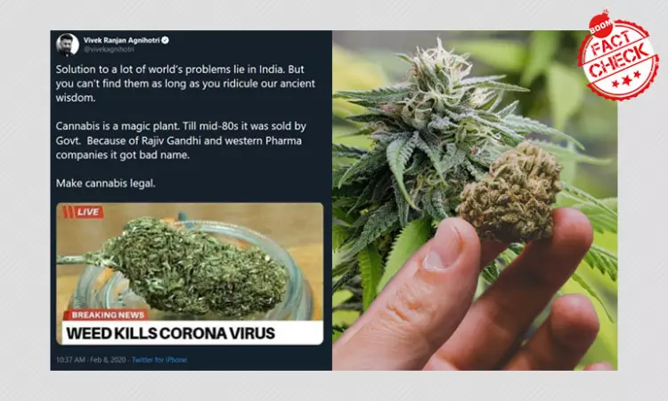 Marijuana Kills Coronavirus? Meme Viral With False Claims