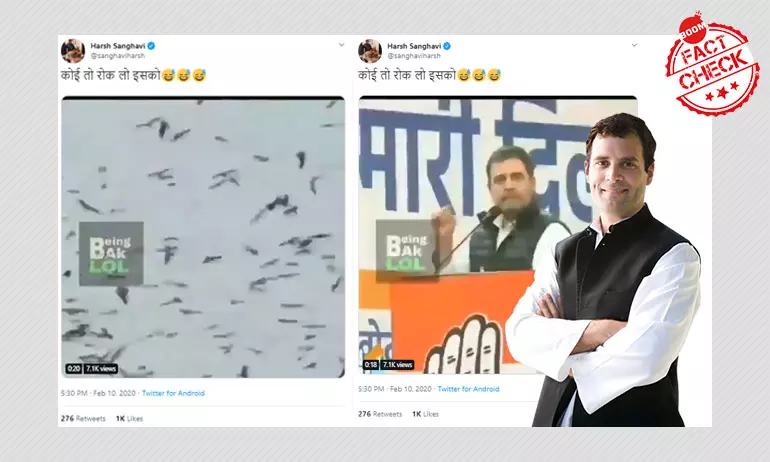 Did Rahul Gandhi Blame PM Modi For Lack Of Employment Among Eagles? A FactCheck