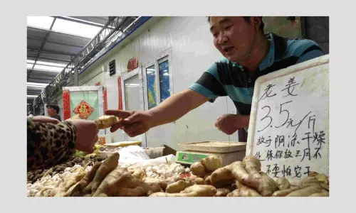 Can Coronavirus Be Cured By Drinking Boiled Ginger?