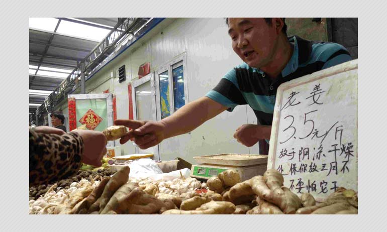 Can Coronavirus Be Cured By Drinking Boiled Ginger? Can Coronavirus Be Cured By Drinking Boiled Ginger?