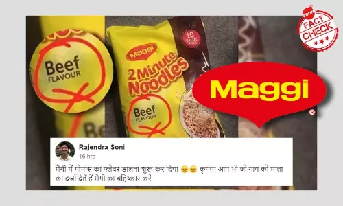 Maggi Noodles Sold In India Does Not Contain Beef: Nestlé India