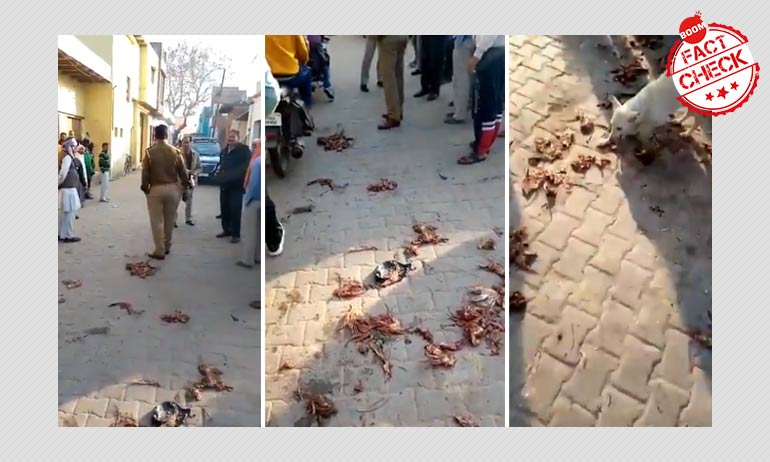 UP Police Debunk False Communal Claim About Meat Thrown At A Temple UP Police Debunk False Communal Claim About Meat Thrown At A Temple
