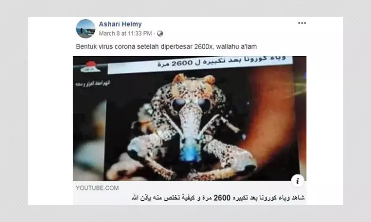 Is This How The Coronavirus Looks Magnified 2,600 Times? A FactCheck.