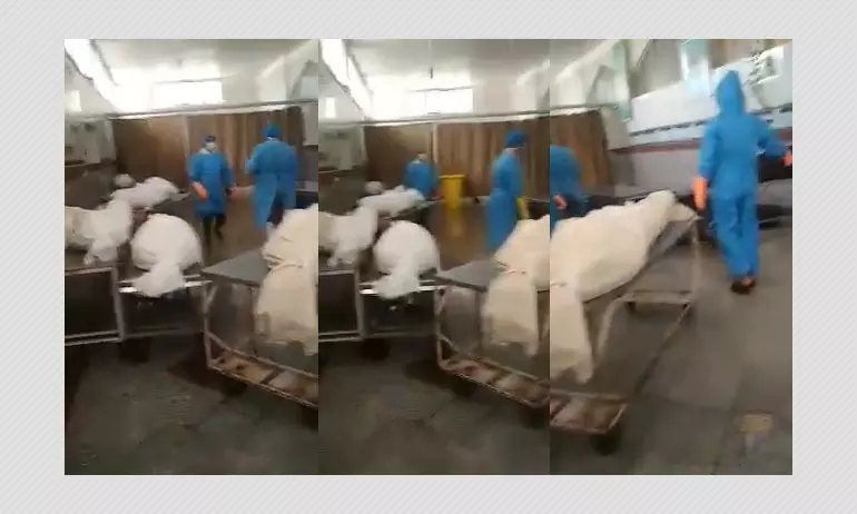 Video From Iran Shared As Body Bags Of Coronavirus Victims In Italy