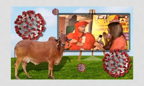 Can Cow Urine Or Gaumutra Cure Coronavirus? What We Know