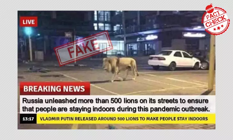 Putin Let Loose Lions To Keep Russians Indoors? Bizarre Claim Goes Viral