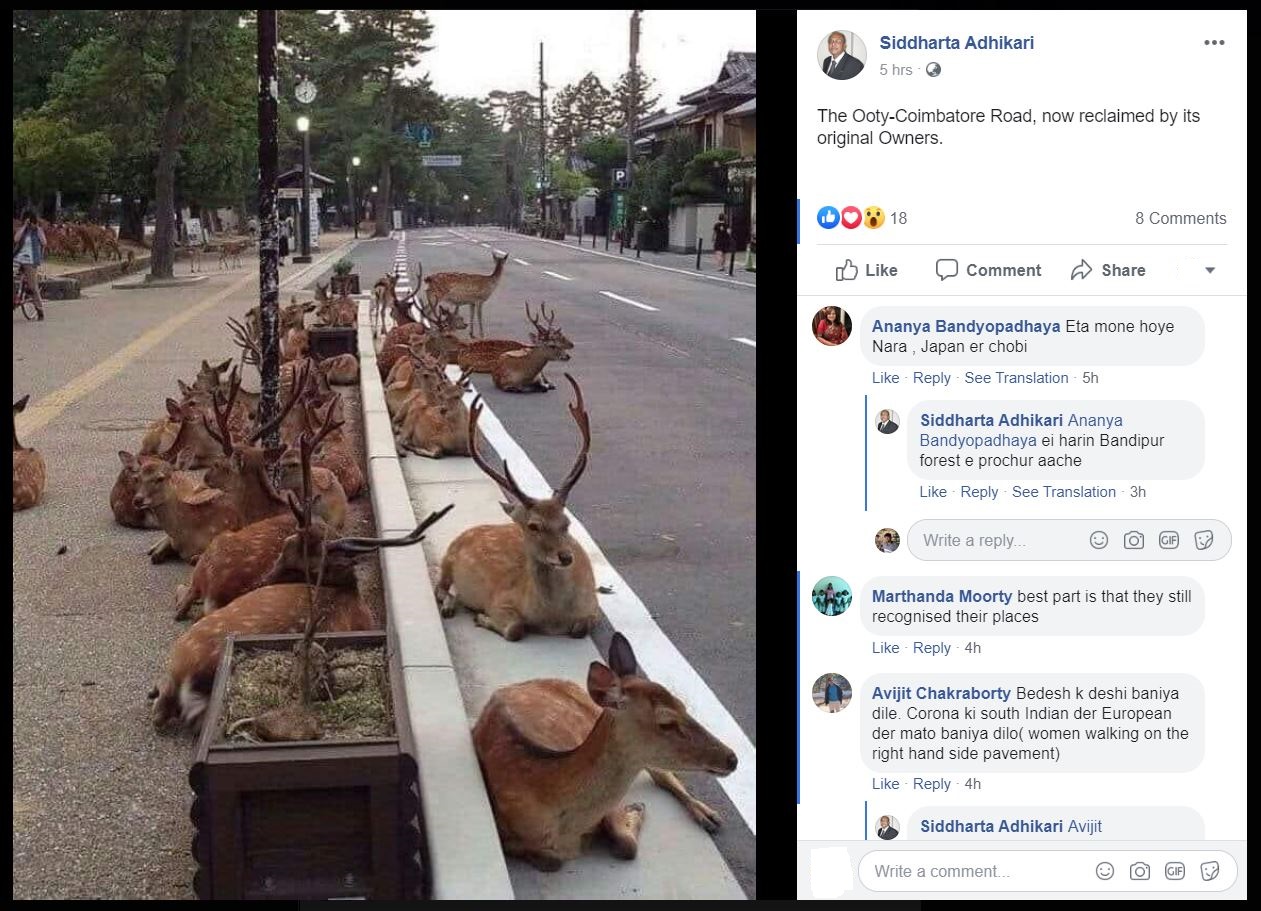 Oh Deer: Pic From Japan Peddled As Herd Spotted At Ooty-Coimbatore Road |  BOOM