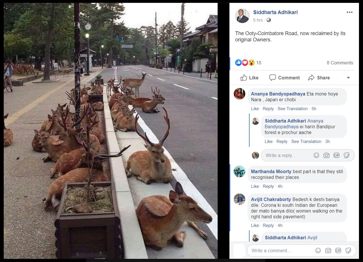 reality behind claim of deers take over ootty Coimbatore road during covid 19 lock down