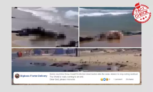 Video Of Migrant Shipwreck Off Libyan Coast Revived With Coronavirus Spin