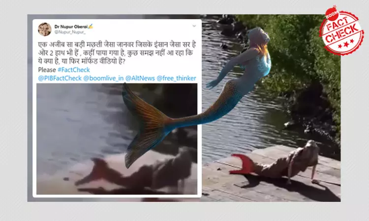 Animation Video Shared As Mermaid Spotted