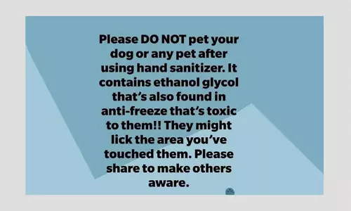 False: Pet Owners Should Not Touch Animals After Using Hand Sanitiser