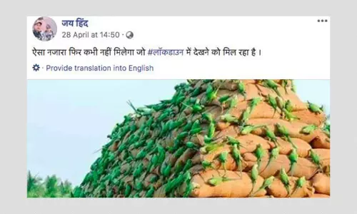 2014 Photo Revived And Shared With COVID-19 Lockdown Spin