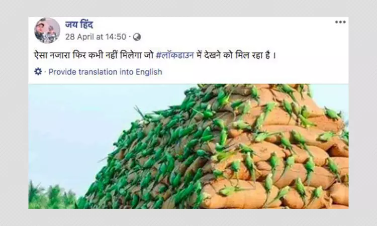 2014 Photo Revived And Shared With COVID-19 Lockdown Spin