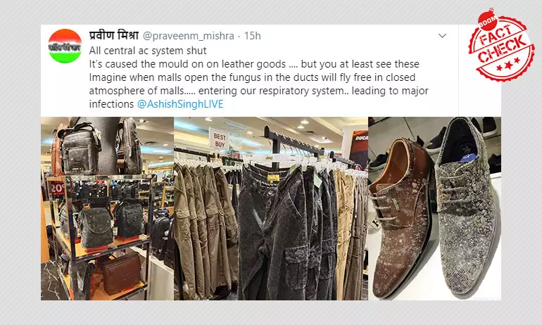 Photos Of Mould On Leather Goods In Malaysian Store Viral As India