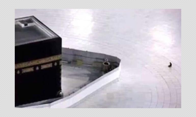Does This Photo Show A Cleaner Praying At Mecca Does This Photo Show A Cleaner Praying At Mecca
