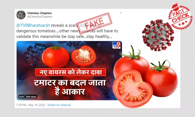 TV9 Bharatvarsh Falsely Links Mystery Virus In Tomatoes To Coronavirus