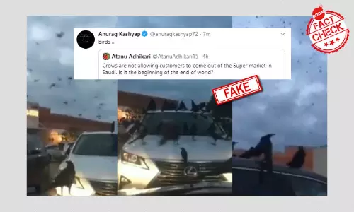 2016 Video Of Birds Swarming A Texas Supermarket Shared As Saudi Arabia