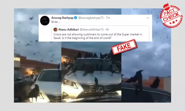 2016 Video Of Birds Swarming A Texas Supermarket Shared As Saudi Arabia