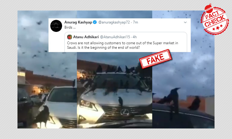 2016 Video Of Birds Swarming A Texas Supermarket Shared As Saudi Arabia 2016 Video Of Birds Swarming A Texas Supermarket Shared As Saudi Arabia