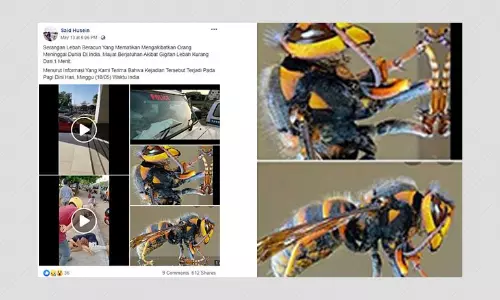 Video Of Vizag Gas Leak Shared As Attack Of Poisonous Bees In India