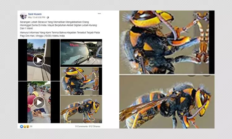 Video Of Vizag Gas Leak Shared As Attack Of Poisonous Bees In India