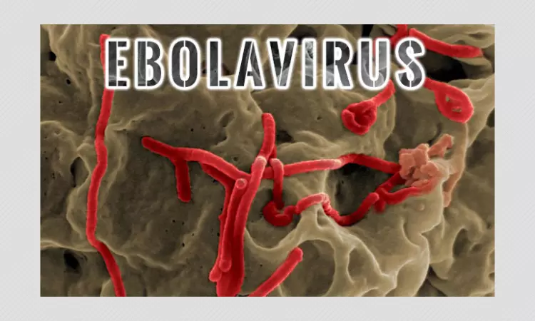 Fresh Ebola Outbreak Grips DRC Even As COVID-19 Battle Rages