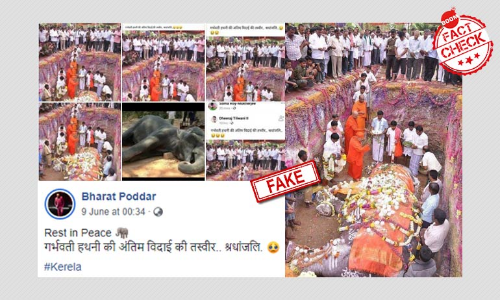 2015 Photo Peddled As Last Rites Of Keralas Pregnant Elephant