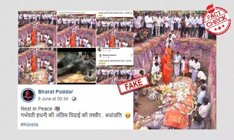 2015 Photo Peddled As Last Rites Of Keralas Pregnant Elephant