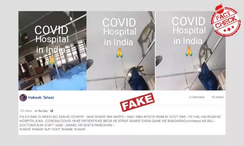 Video Of Monkeys Invading A Durban Hospital Peddled As India