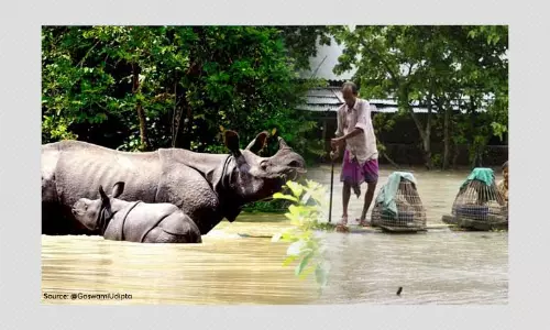 71 Dead In Assam As Floods Ravage State; Kaziranga Submerged