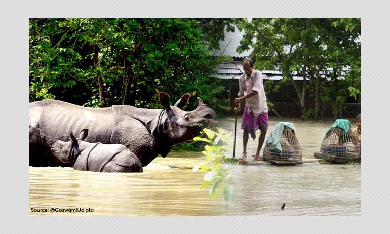 71 Dead In Assam As Floods Ravage State; Kaziranga Submerged 71 Dead In Assam As Floods Ravage State; Kaziranga Submerged