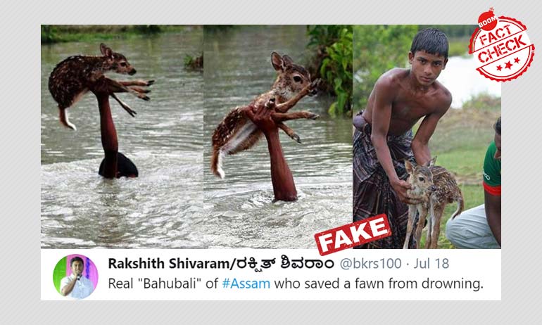 Bahubali Of Assam? Photos Of A Boy Rescuing A Fawn Are From Bangladesh Bahubali Of Assam? Photos Of A Boy Rescuing A Fawn Are From Bangladesh