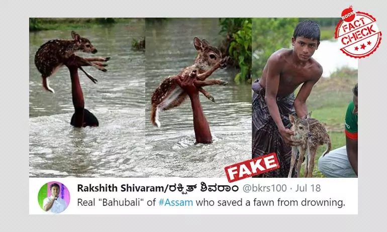 Bahubali Of Assam? Photos Of A Boy Rescuing A Fawn Are From Bangladesh