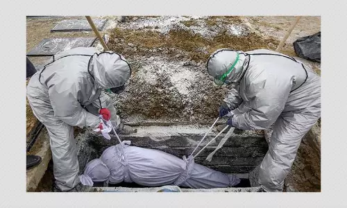 COVID-19 Positive Corpses Are Not 100 Times More Toxic After 72 Hours