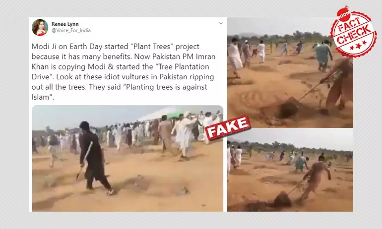 Video Of Men Uprooting Saplings In Pakistan Viral With Islamophobic Claim