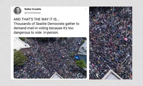 Photo Of Black Lives Matter Protest Peddled As Mail-in Vote Rally