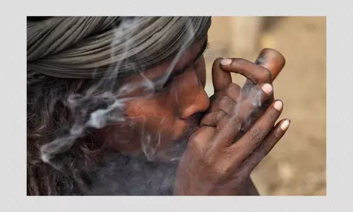 Rhea Chakrabortys Arrest: Cannabis And Its Legal Status In India