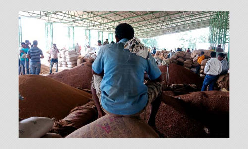 Why Are The Farm Reform Bills Stirring Protests Among Farmers?