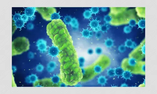 Brucellosis Leading To Infertility In Men? All You Need To Know