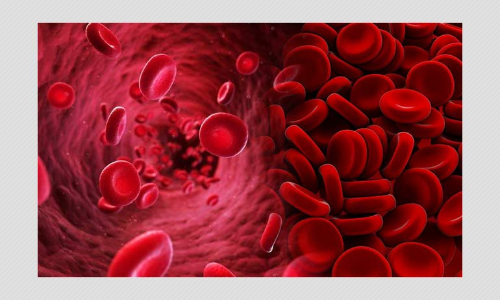 Explained: Saviour Sibling And Ethical Concerns About Genetic Diagnosis