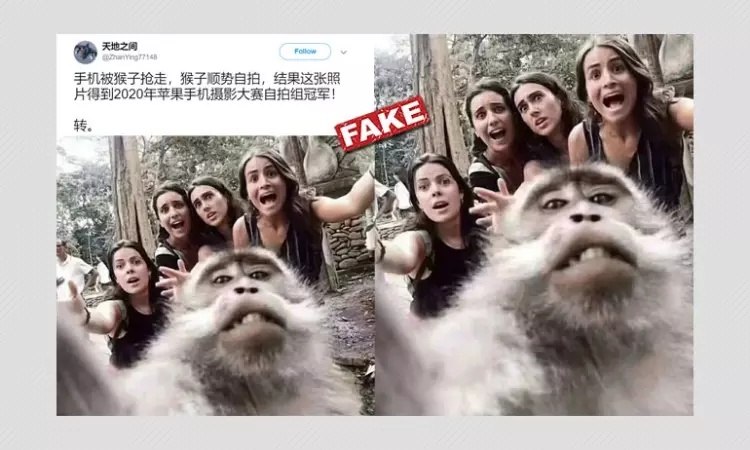 Monkey Selfie Wins Non-existent Prize At iPhone Photography Awards