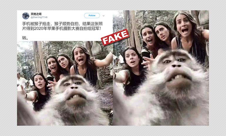 Primate monkeys around with student's phone, takes selfies | The Asahi  Shimbun: Breaking News, Japan News and Analysis