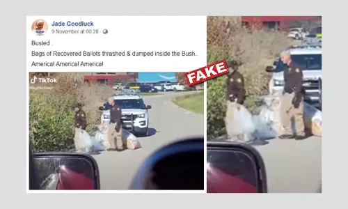 No, Ballots Were Not Not Found Dumped In Bushes After US Elections
