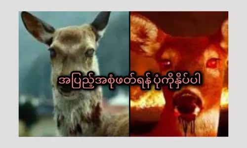 Health Experts Have Not Warned Of A Zombie Deer Virus Outbreak