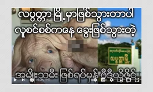 Photo Of Art Installation Shared As Girl Who Turned Into A Dog