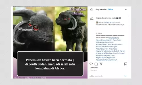 No, A Four-Eyed Animal Has Not Been Discovered In South Sudan